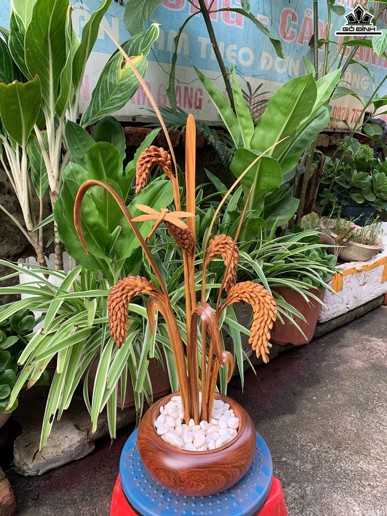 chau-lua-vang-cao-61-ngang-33-sau-18-cm-chau-go-huong-cay-lua-go-po-mu-465958