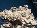 tuong-phat-di-lac-ngu-lien-hoa-go-ngoc-am-cao-47-ngang-65-sau-43-cm-466110