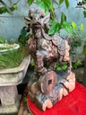 tuong-de-tai-loc-go-mun-hoa-cao-50-ngang-28-sau-14-cm-466645