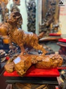 tuong-nhat-duong-go-cam-cao-43-ngang-46-sau-24-cm-466657