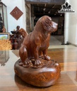 tuong-cho-go-cam-cao-31-ngang-28-sau-22-cm-466902