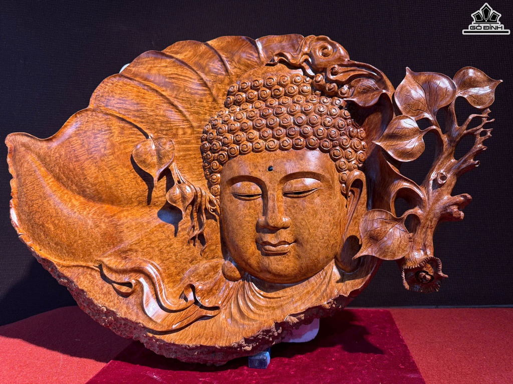 dien-phat-tren-la-bo-de-go-nu-huong-cao-45-ngang-65-day-6-cm-466926