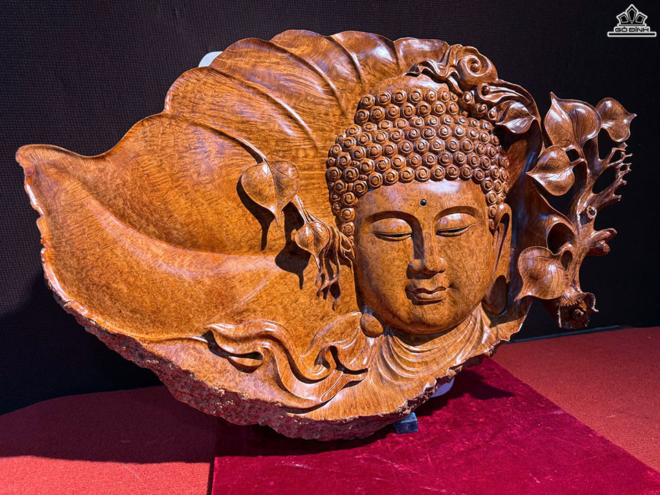 dien-phat-tren-la-bo-de-go-nu-huong-cao-45-ngang-65-day-6-cm-466927