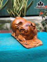 tuong-heo-go-ngoc-am-cao-23-ngang-43-sau-22-cm-467099