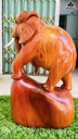 tuong-voi-go-huong-cao-44-ngang-24-sau-13-cm-467137