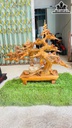chau-mai-go-bach-xanh-cao-61-ngang-73-sau-27-cm-467157