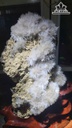 nhung-bong-hoa-uu-dam-da-tram-tich-cao-ca-de-40-ngang-22-cm-nang-8kg-467290