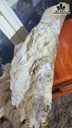 go-hoa-ngoc-nguyen-sinh-ngang-47-cao-16-cm-38kg-467339