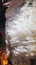 be-tinh-the-thach-anh-cao-ca-de-70-ngang-37-cm-50kg-467368