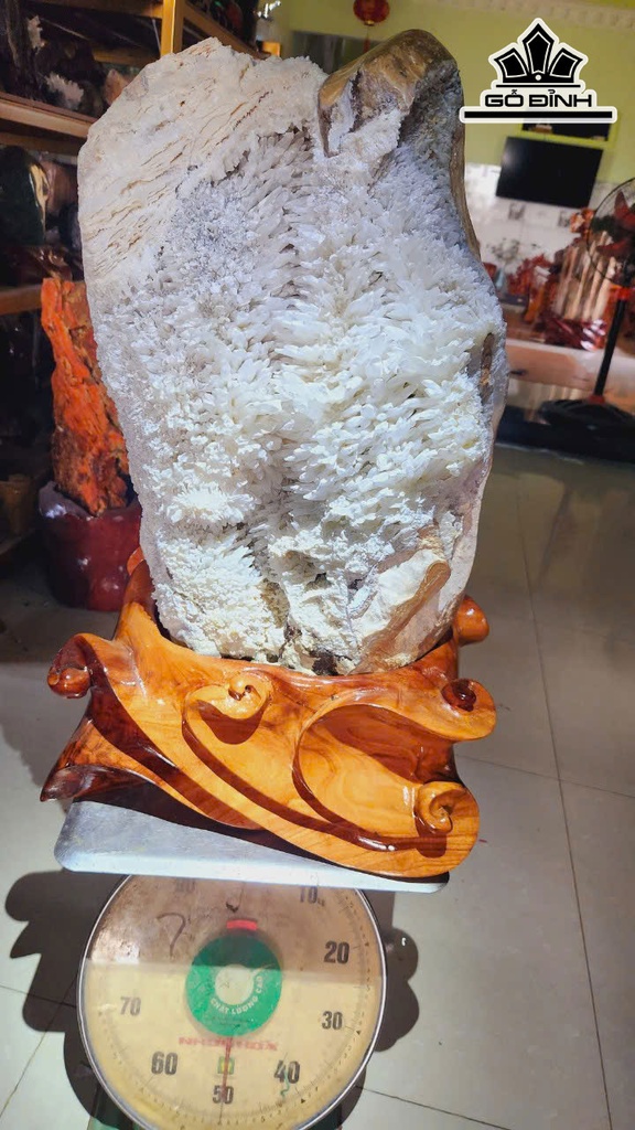 be-tinh-the-thach-anh-cao-ca-de-70-ngang-37-cm-50kg-467371