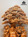 tuong-phat-di-lac-ngu-phuc-ngu-goc-tung-go-bach-xanh-cao-218-ngang-100-sau-52-cm-467423