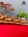 tuong-bat-ma-go-sua-cao-38-ngang-61-sau-11-cm-467471