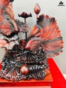 tuong-ca-xiem-go-trac-cao-71-ngang-65-sau-30-cm-467477