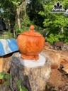 binh-u-tra-go-go-do-ca-te-cao-26-duong-kinh-23-cm-1lit-467748