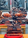 tuong-ca-xiem-go-trac-cao-61-ngang-61-sau-17-cm-467906