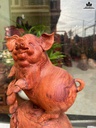 tuong-heo-dung-bao-tien-go-cam-cao-42-ngang-20-sau-16-cm-468017
