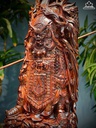 tuong-quan-cong-go-trac-cao-67-ngang-25-sau-20-cm-468240