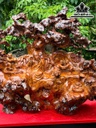 tuong-than-tra-go-huyet-long-cao-ca-ky-78-ngang-11-sau-72-cm-ky-cao-11-cm-468361