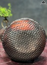 tuong-thiem-thu-ngoi-thung-go-trac-cao-24-ngang-27-sau-30-cm-468423
