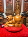 tuong-heo-go-ngoc-am-cao-27-ngang-40-sau-22-cm-468482