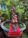 bi-tai-loc-phu-quy-go-trac-cao-45-ngang-25-sau-18-cm-468509