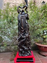 tuong-quan-cong-hang-long-go-mun-cao-87-ngang-23-sau-19-cao-ca-ky-97-cm-468602