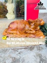 Tượng Trâu Phong Thủy Gỗ Hương Cao 32 Ngang 80 Sâu 40 (cm)
