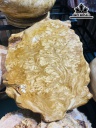 Tranh Gỗ Gỗ Nu Nghiến Cao 53 Ngang 48 Sâu 2,5 (cm)