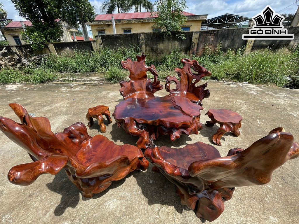 Bộ Gốc 6 Đôn Gỗ Hương