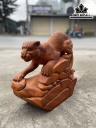 Tượng Báo Săn Mồi Gỗ Hương Đỏ Cao 48 Ngang 51 Sâu 18 (cm)
