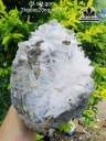 Bông Hoa Ưu Đàm Đá Trầm Tích Cao 20 Ngang 18 (cm) 2kg