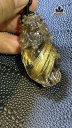 Mặt Dây Chuyền Long Quy Đá Thạch Anh Tóc Vàng Cao 50 Ngang 26 Sâu 20 (mm) 39g