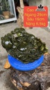 Tượng Di Lặc Đá Serpentine Cao 17 Ngang 29 Sâu 16 (cm) 6,5kg