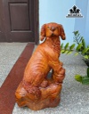 Tượng Chó Gỗ Hương Cao 48,5 Ngang 28 Sâu 19 (cm)
