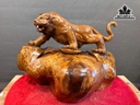 Tượng Hổ Phong Thủy Gỗ Nu Ngọc Am Cao 35 Ngang 51 Sâu 29 (cm) - 11kg