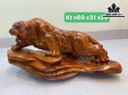 Tượng Hổ Phong Thủy Gỗ Hương Cao 69 Ngang 31 Sâu 29 (cm)