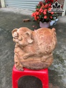 Tượng Heo Gỗ Ngọc Am Cao 24 Ngang 26 Sâu 20 (cm)