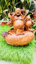 Tượng Phật Di Lặc Đứng Bao Tiền Gỗ Nu Ngọc Am Cao 26 Ngang 27 Sâu 12 (cm)