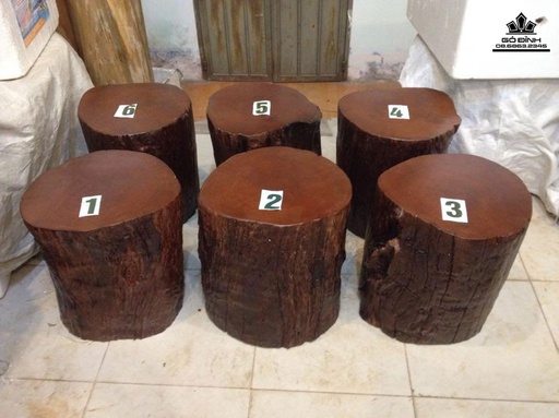 [DS361] Bộ 6 Đôn Gỗ Nguyên Khối Gỗ Sao Xanh Cao 41 Mặt 37-33(cm)