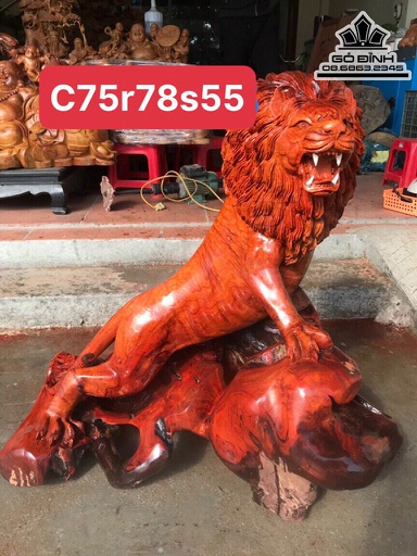 Tượng Sư Tử Gỗ Hương Việt Nguyên Khối Cao 75 Ngang 78 Sâu 55 (cm)