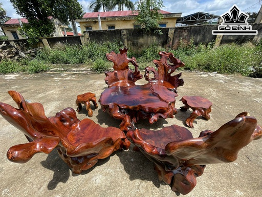 Bộ Gốc 6 Đôn Gỗ Hương