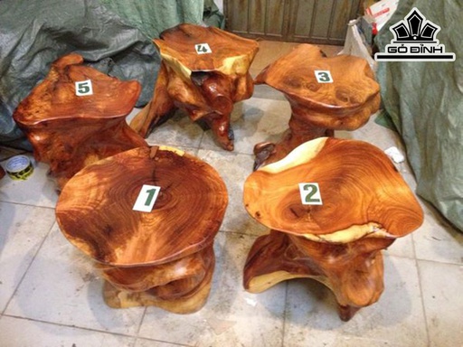 Bộ 5 Đôn Gốc Gốc Đỏ ( Cà te) Đôn Cao 40-41 (cm)