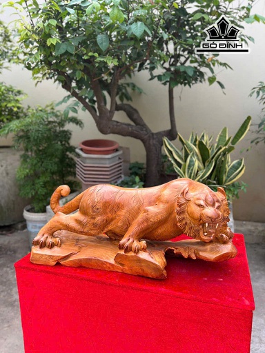Tượng Hổ Phong Thủy Gỗ Hương Cao 24 Ngang 54 Sâu 19 (cm)