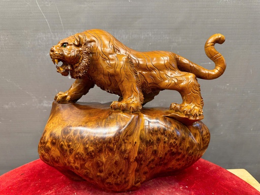 Tượng Hổ Phong Thủy Gỗ Nu Ngọc Am Cao 30 Ngang 32 Sâu 14 (cm)