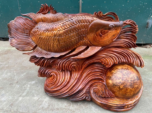 Tượng Cá Kim Long Gỗ Nu Hương Cao 42 Ngang 63 Sâu 21 (cm)