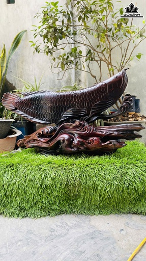 Tượng Cá Kim Long Gỗ Trắc Cao 38 Ngang 66 Sâu 28 (cm)