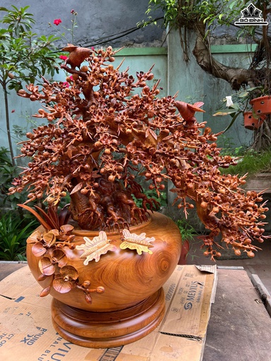 Bình Phú Quý Hoa Mai Gỗ Hương Cao 88 Ngang 85 Sâu 52 (cm) - Đường Kính Thân Bình 50 (cm)
