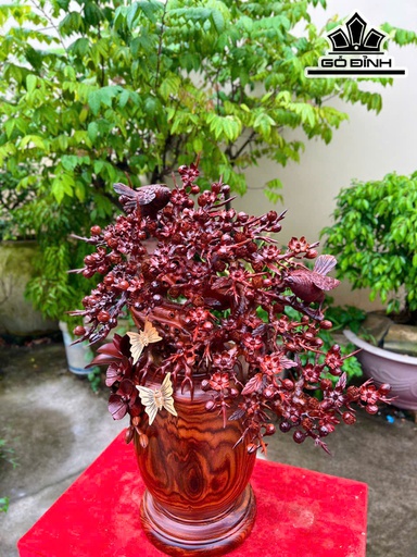Bình Hoa Mai Gỗ Cẩm Cao 70 Ngang 68 Sâu 35 (cm)
