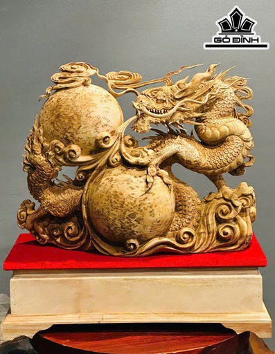 Tượng Rồng ( Nhất Long) Gỗ Nu Ngọc Am Cao 50 Ngang 66 Sâu 26 (cm)