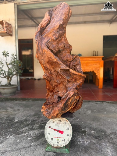 Lũa Trang Trí Gỗ Ngọc Am Cao 119 Ngang 50 Sâu 40 (cm)